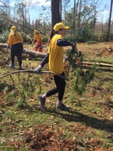 Hurricane Michael Disaster Relief 2